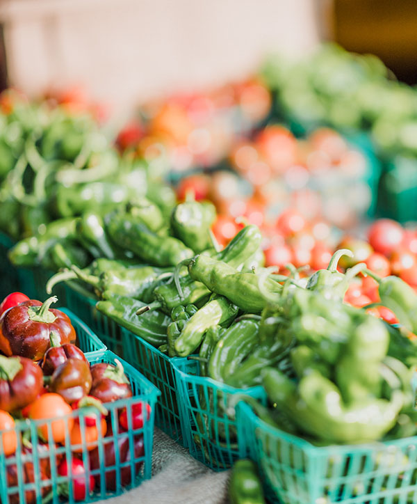Catalogo de patatas Empresa distribuidora de patatas para churrerias, hoteles, colegios, residencias, etc. Las mejores patatas de Cataluña.